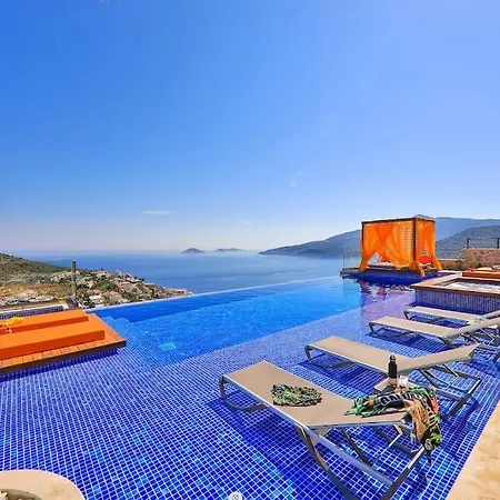Shine - Kalkan فيلة