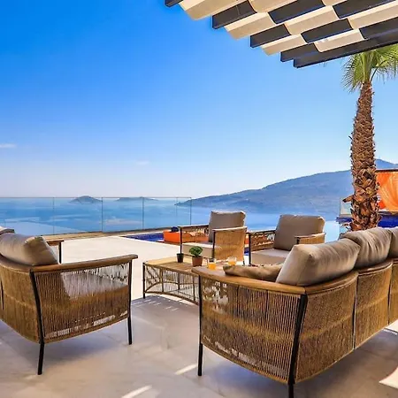 Shine - Kalkan فيلة كاس