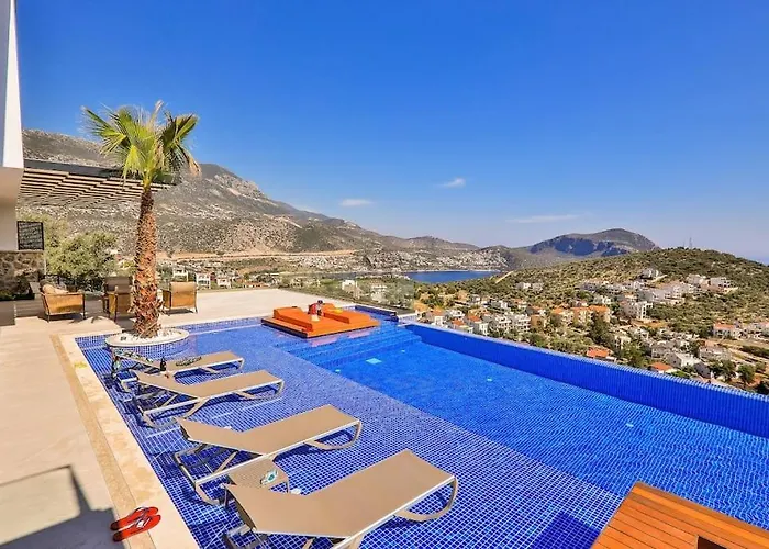 فيلة Shine - Kalkan